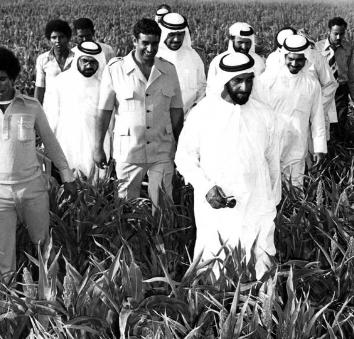 harvesting resilience