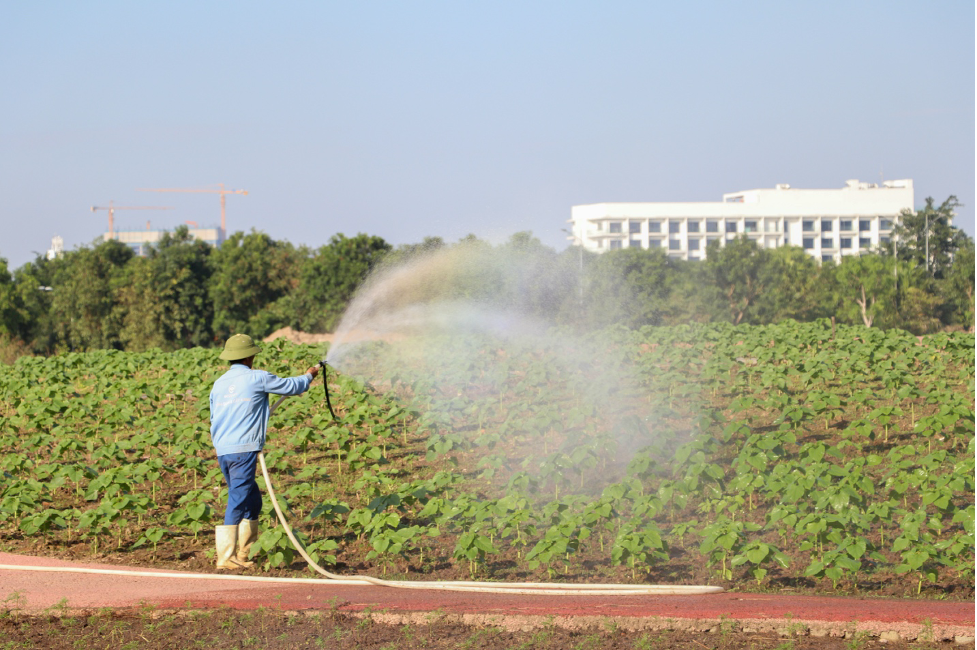 Food and Water Security