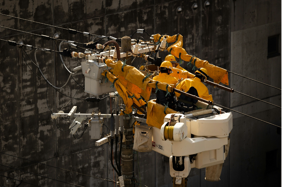 Net Zero Transition