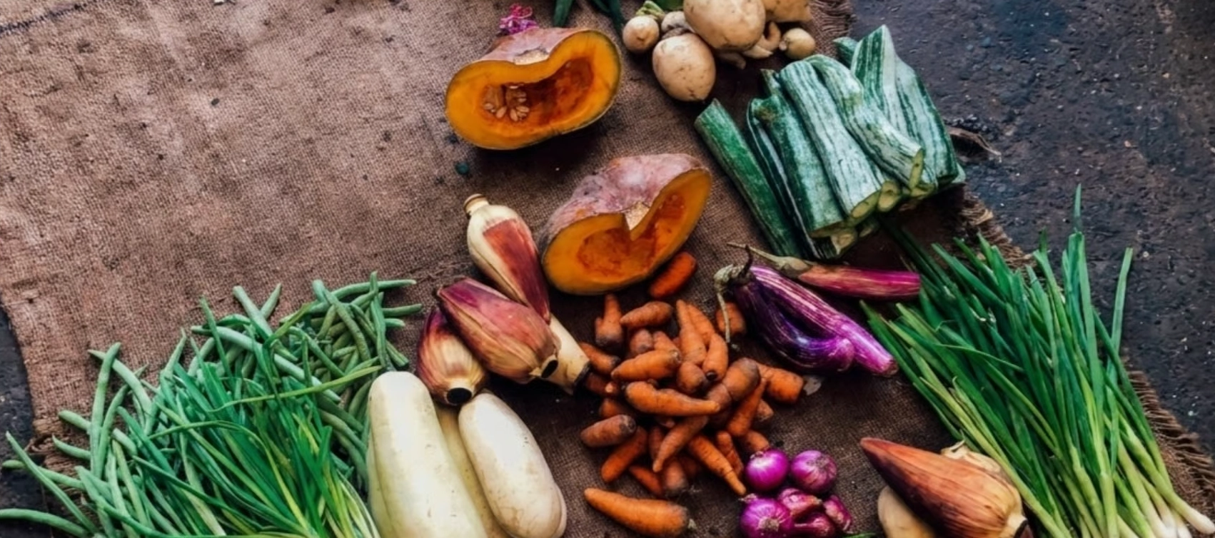Soma Mater Newsletter – 05.07.2026