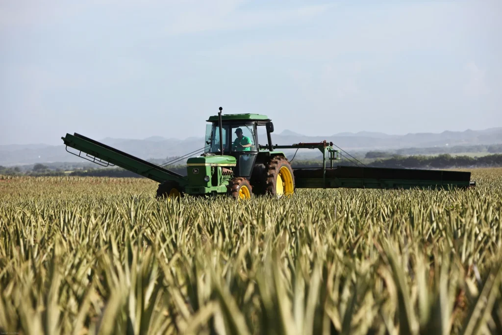 Feed Me Less Water: Saudi Arabia’s Shift From Perennial to Seasonal Fodder
